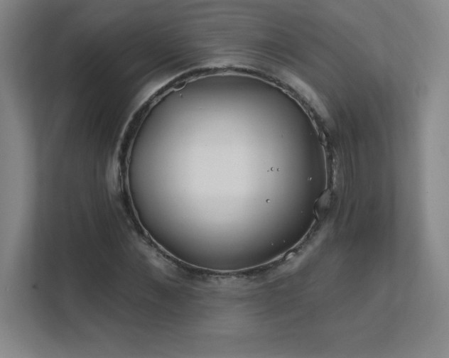 X0000111790876200907231141