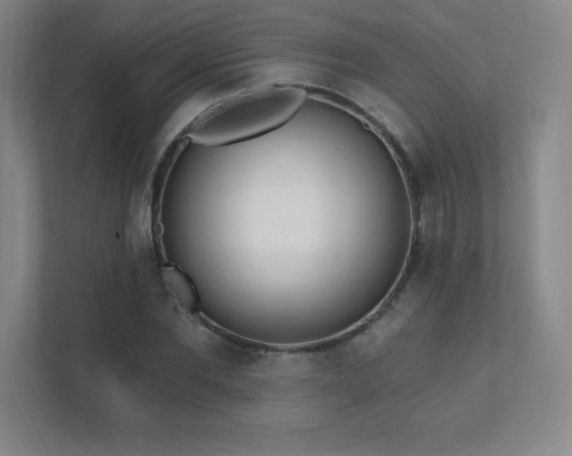 X0000111790877200907231141