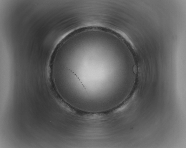 X0000111790879200907231141