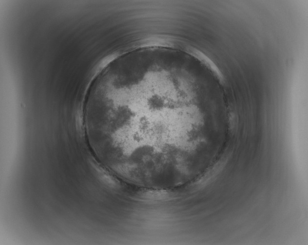 X0000111790882200907231141