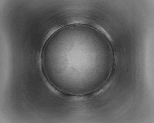 X0000111790890200907231140