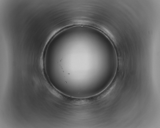 X0000111790891200907231140