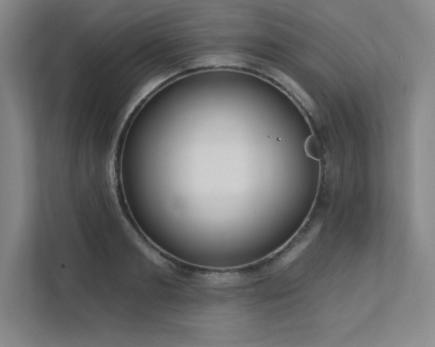 X0000111790893200907231140