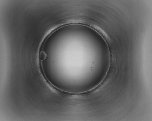 X0000111790894200907231140