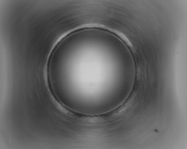 X0000111790895200907231140