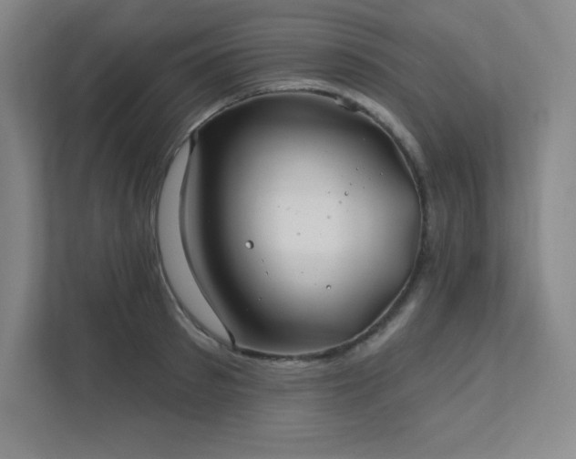 X0000111790897200907231140