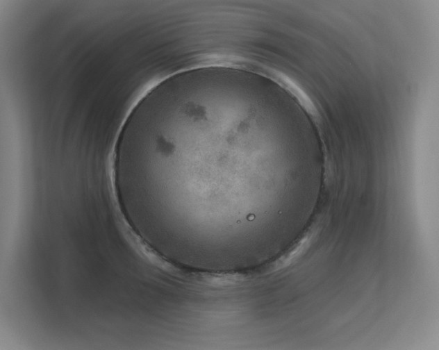 X0000111790899200907231140