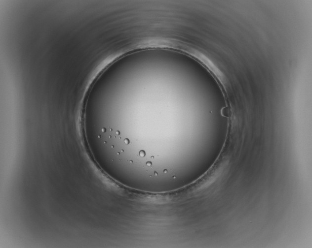 X0000111790901200907231140