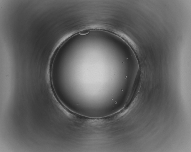 X0000111790902200907231140