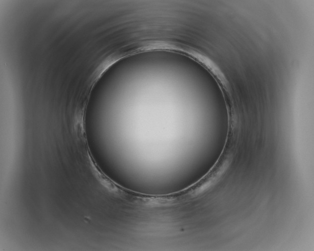 X0000111790905200907231140