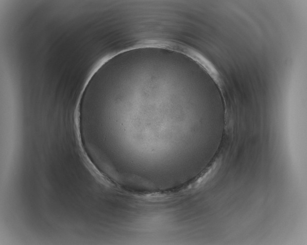 X0000111790907200907231140