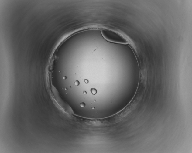 X0000111790911200907231140