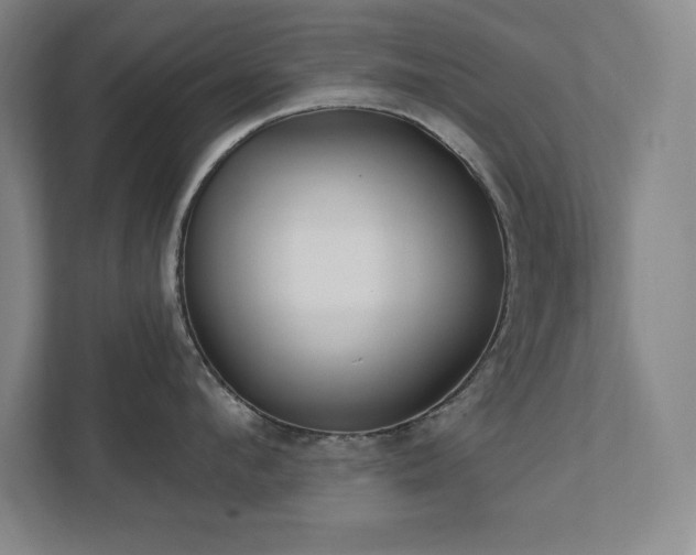 X0000111790912200907231140