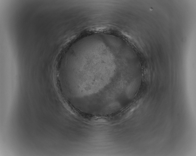 X0000111790913200907231140