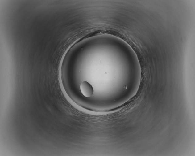 X0000111790916200907231140