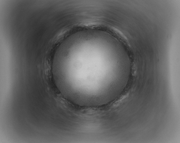 X0000111790917200907231140