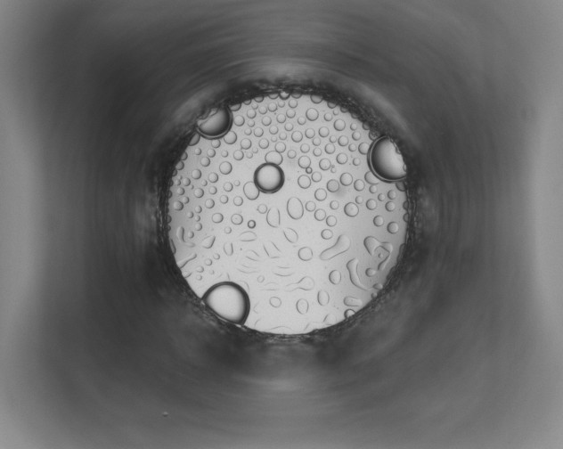 X0000111790918200907231140