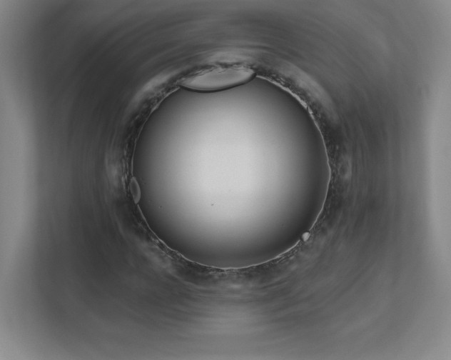 X0000111790920200907231140