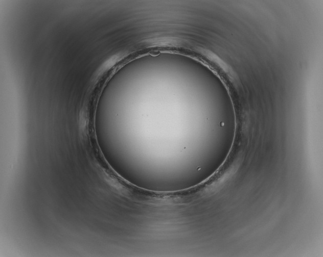 X0000111790922200907231140