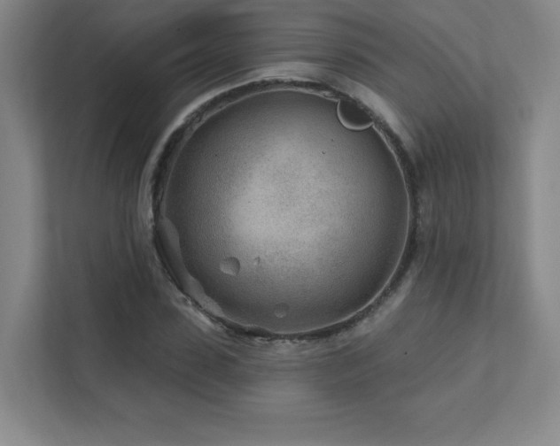 X0000111790923200907231140