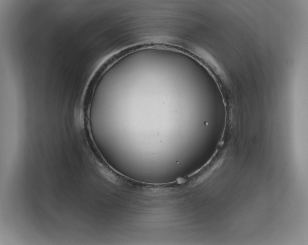 X0000111790924200907231140