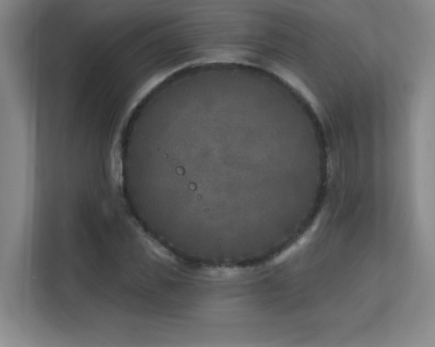 X0000111790925200907231140