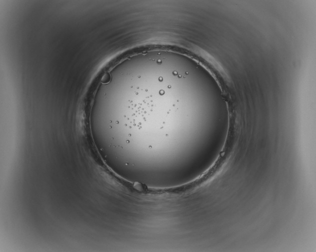 X0000111790926200907231140