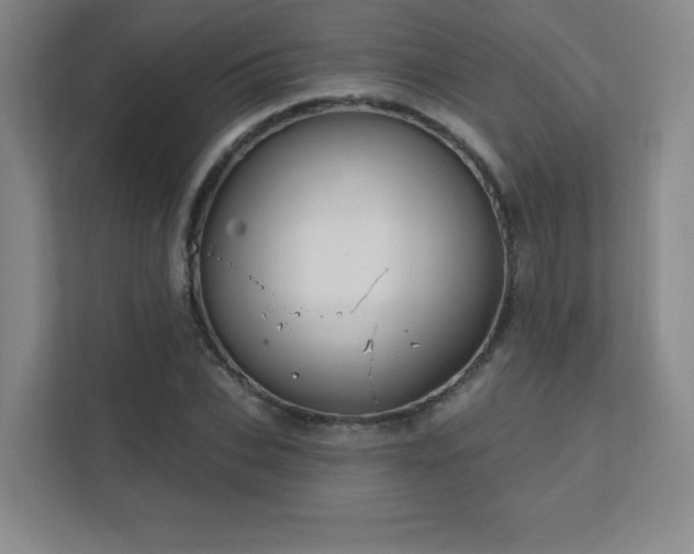 X0000111790927200907231140