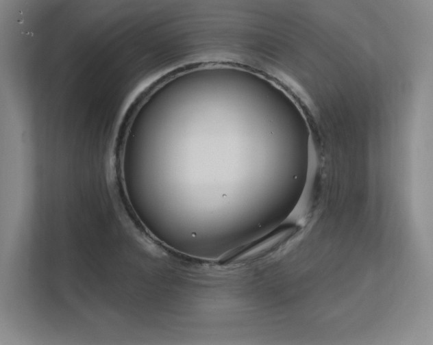 X0000111790928200907231140