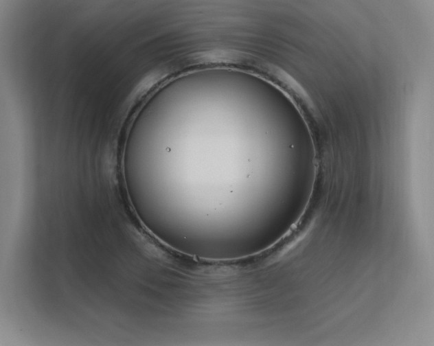 X0000111790930200907231140