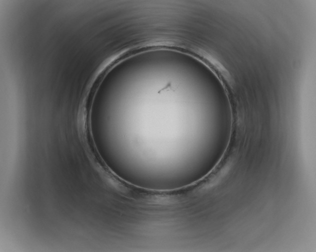 X0000111790933200907231140