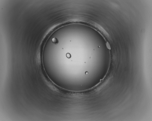 X0000111790934200907231140