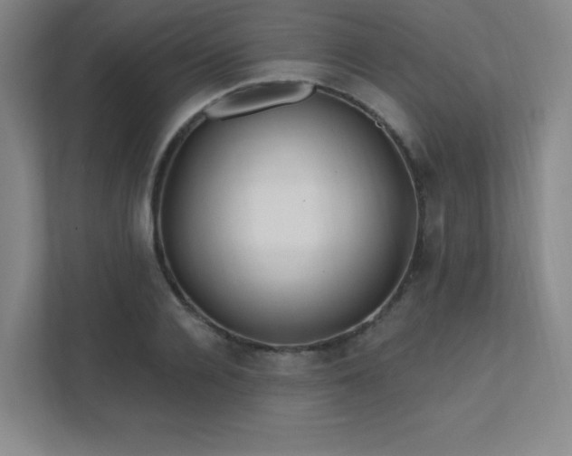 X0000111790936200907231140