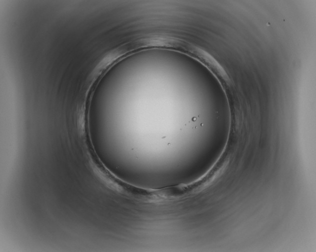 X0000111790938200907231140