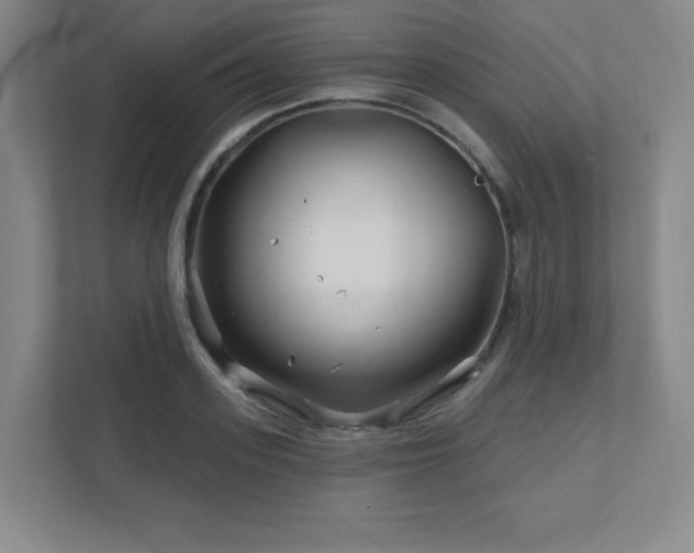 X0000111790939200907231140