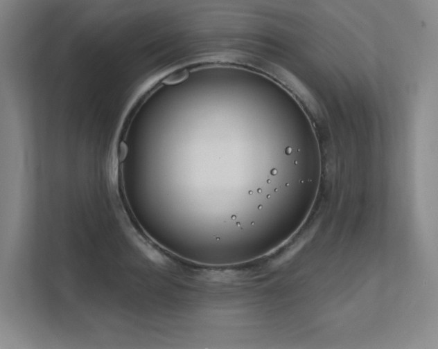 X0000111790940200907231140