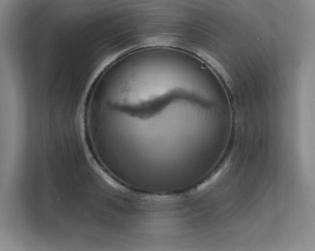 X0000111790941200907231140