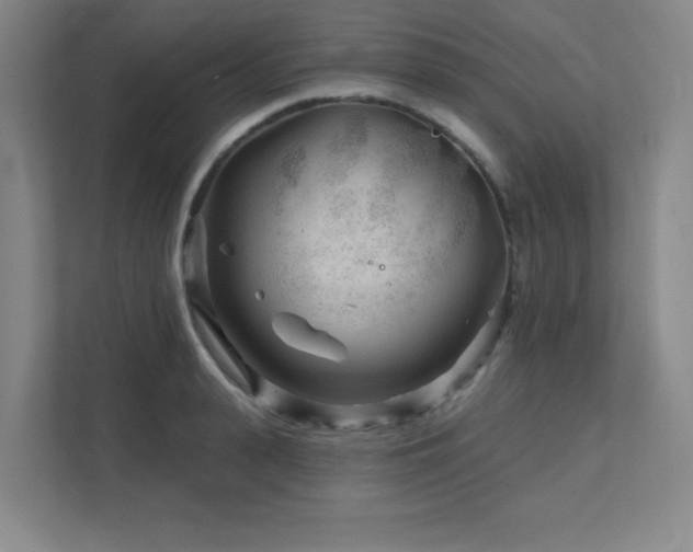 X0000111790943200907231140