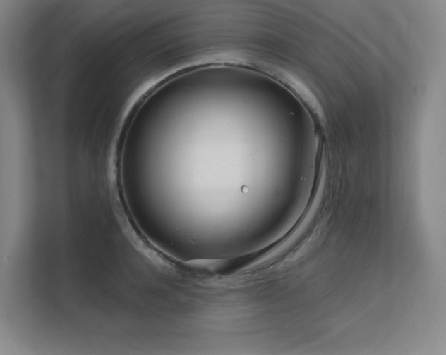 X0000111790944200907231140