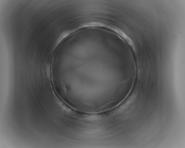 X0000111790945200907231140