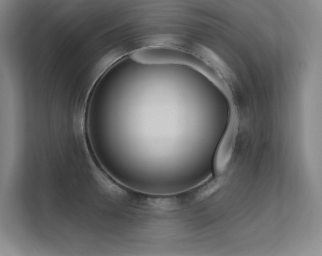 X0000111790946200907231140