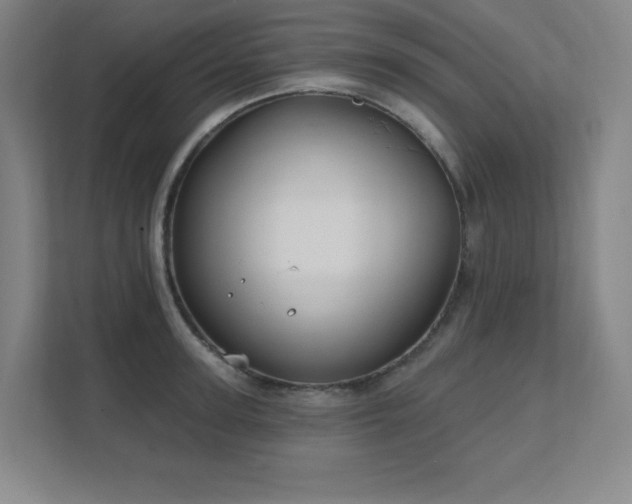 X0000111790947200907231140