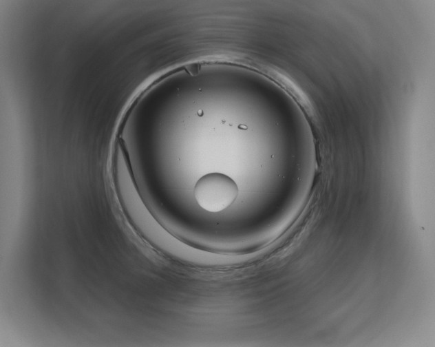 X0000111790948200907231140