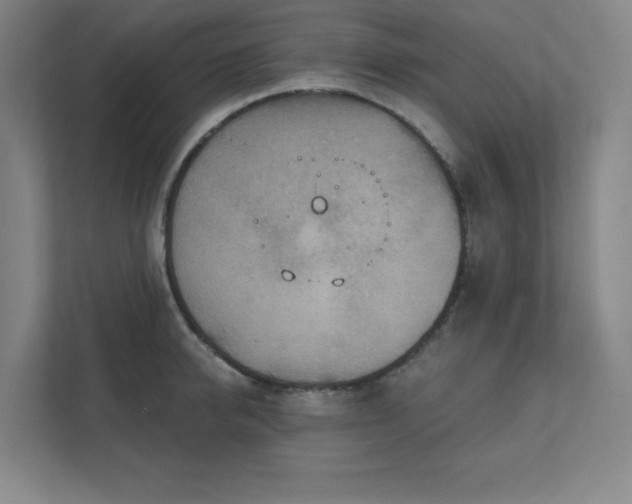 X0000111790950200907231140