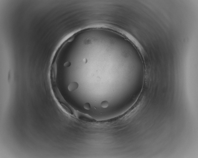 X0000111790951200907231140