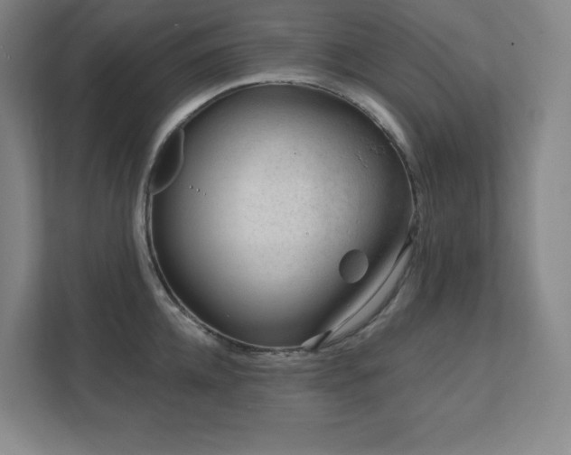 X0000111790952200907231140