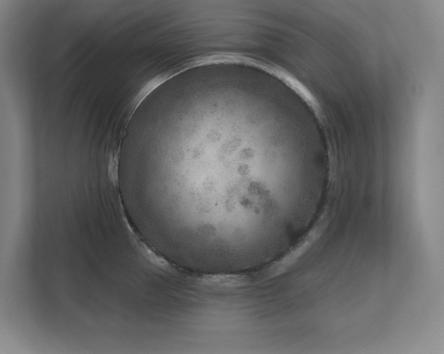 X0000111790953200907231140