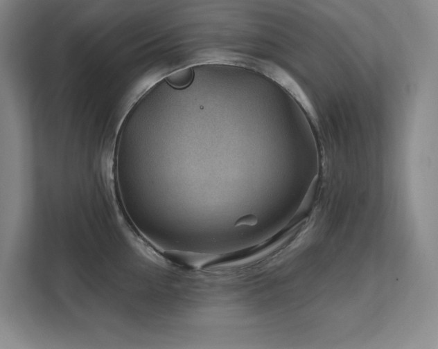 X0000111790954200907231140