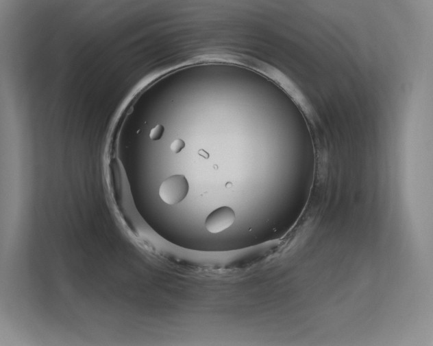 X0000111790955200907231140