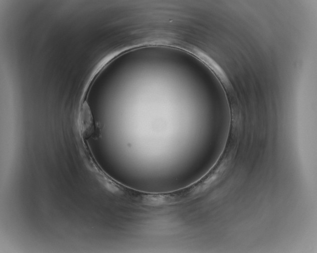 X0000111790956200907231140